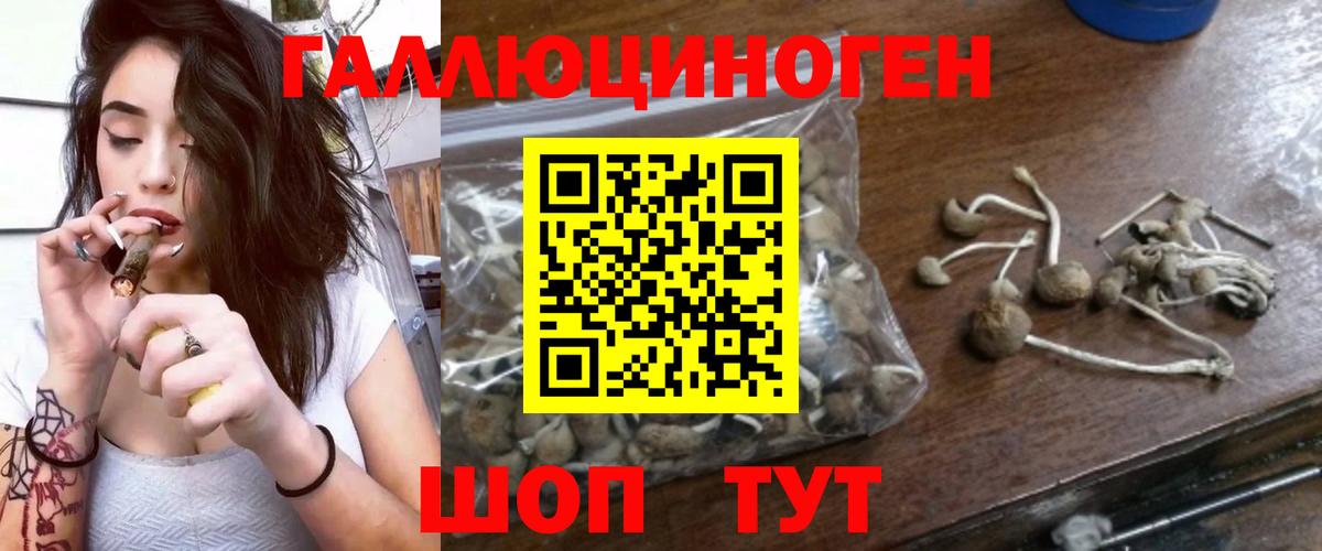Апрелевка  Псилоцибиновые грибы мицелий  Вход с VPN 